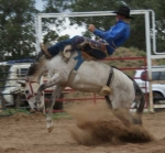 DSC08545c.jpg