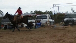 DSC08590c.jpg